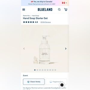 Blueland soap pump with 5 refills tablets
